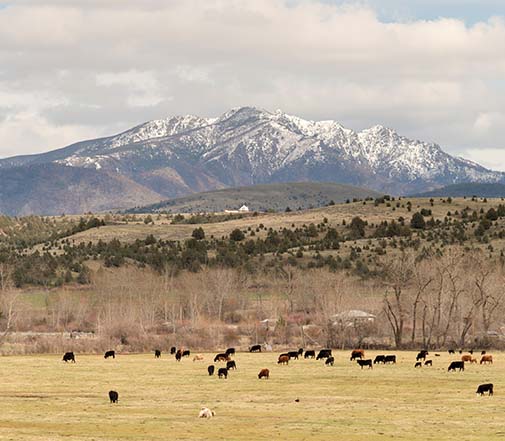 Mountains